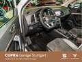 SEAT Ateca 1.5 TSI ACT Xperience DSG 110 kW Blanc - thumbnail 4
