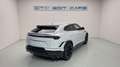Lamborghini Urus Performante Alb - thumbnail 7