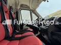 Fiat Ducato Fiat Ducato Coibentato Isotermico Frigorifero Blanc - thumbnail 12