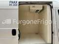 Fiat Ducato Fiat Ducato Coibentato Isotermico Frigorifero Blanc - thumbnail 11