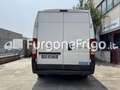 Fiat Ducato Fiat Ducato Coibentato Isotermico Frigorifero Blanc - thumbnail 3