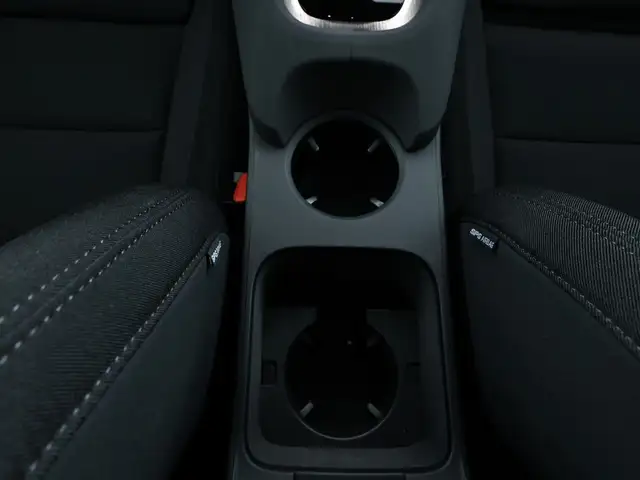 Polestar Polestar 2 view 14