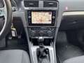 Volkswagen Golf 1,6 TDI Grau - thumbnail 9