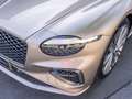 Bentley Speed MY26 | Bentley Nürnberg Brons - thumbnail 8