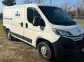 Citroen Jumper 30 L1H1 2.2 bluehdi 120cv S&S (Business) Bianco - thumbnail 5