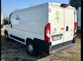 Citroen Jumper 30 L1H1 2.2 bluehdi 120cv S&S (Business) Bianco - thumbnail 7