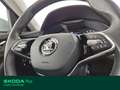 Skoda Kamiq 1.0 tsi scoutline 110cv Grigio - thumbnail 8