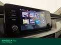 Skoda Kamiq 1.0 tsi scoutline 110cv Grigio - thumbnail 9