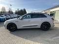 Audi e-tron 55 quattro S line*AHK*Black*Matrix*Memory* Beige - thumbnail 6