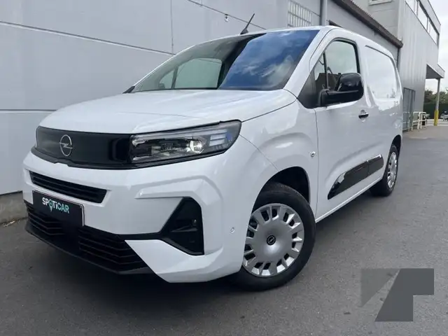Opel Combo LICHTE VRACHT - CARGO - HOUT INTERIEUR + CAMERA +