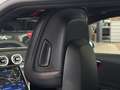Mercedes-Benz C 300 C 300 de T-Modell AMG Line Advanced Plus/Navi Weiß - thumbnail 30