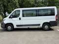 Citroen Jumper Kasten 33 L2H1 Profi verglast BlueHDi 130 Alb - thumbnail 5