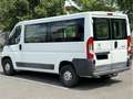 Citroen Jumper Kasten 33 L2H1 Profi verglast BlueHDi 130 Alb - thumbnail 8