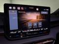 CUPRA Terramar 1.5 eTSI 110 DSG Azul - thumbnail 16