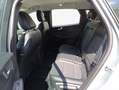 Ford Kuga 2.0 EcoBlue 4x4 Aut. TITANIUM Silber - thumbnail 8