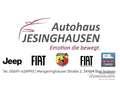 Jeep Renegade e-Hybrid Altitude Tech-Pak. Winter-Pak Navi LED Bl Blanco - thumbnail 19