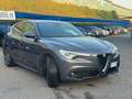 Alfa Romeo Stelvio 2.2 t Business  super Q4 190cv auto Grijs - thumbnail 6