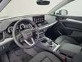 Audi Q5 40 TDI 204 CV quattro S tronic Business Advanced Bianco - thumbnail 13