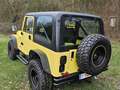 Jeep Wrangler 4.0L lpg top restauration Geel - thumbnail 2