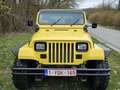 Jeep Wrangler 4.0L lpg top restauration Geel - thumbnail 3