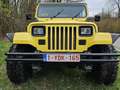 Jeep Wrangler 4.0L lpg top restauration Jaune - thumbnail 4