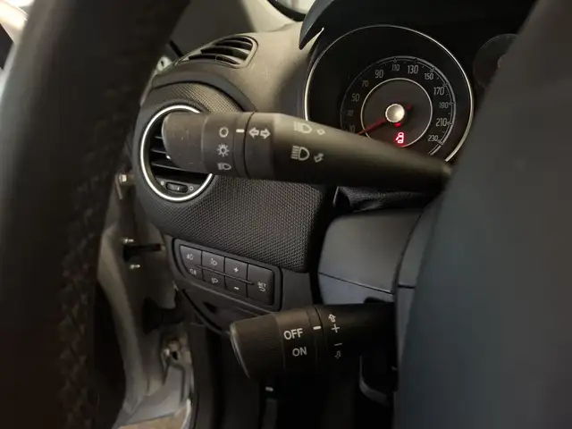 Fiat Punto Evo view 13