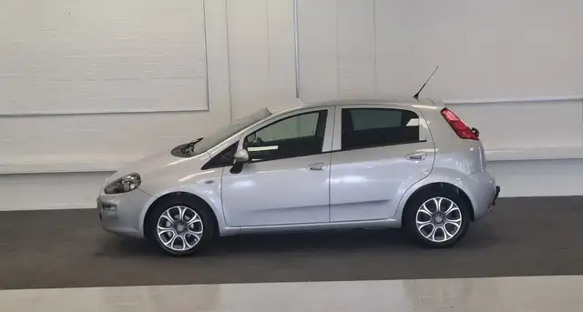 Fiat Punto Evo view 6