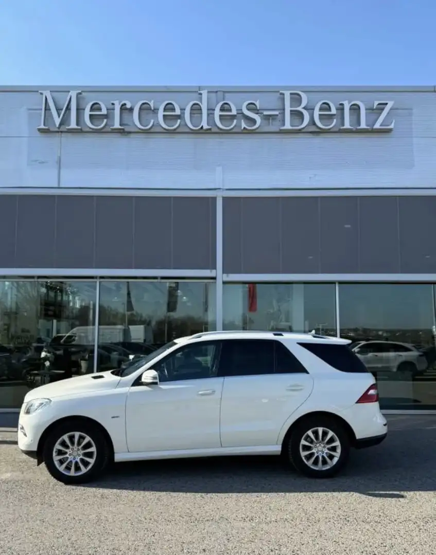 Mercedes-Benz ML 350 BlueTEC 4MATIC Aut. DPF - 1