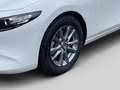 Mazda 3 2026 5HB 2.5L e-SKYACTIV G 140ps 6AT 2WD PR Weiß - thumbnail 8