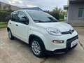 Fiat Panda SOLO 4000 KM Hybrid City Life OK NEOPATENTATI Bianco - thumbnail 6
