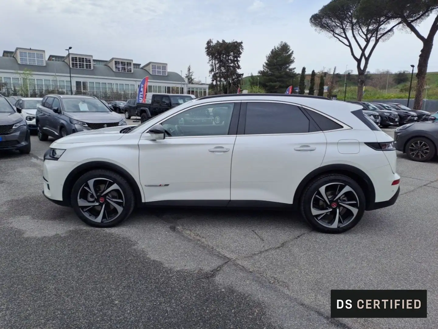 DS Automobiles DS 7 Crossback CROSSBACK E-Tense Automatica Performance Line+ bijela - 2