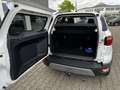 Ford EcoSport 1.0 EcoBoost Titanium Navi smart Winter Weiß - thumbnail 20