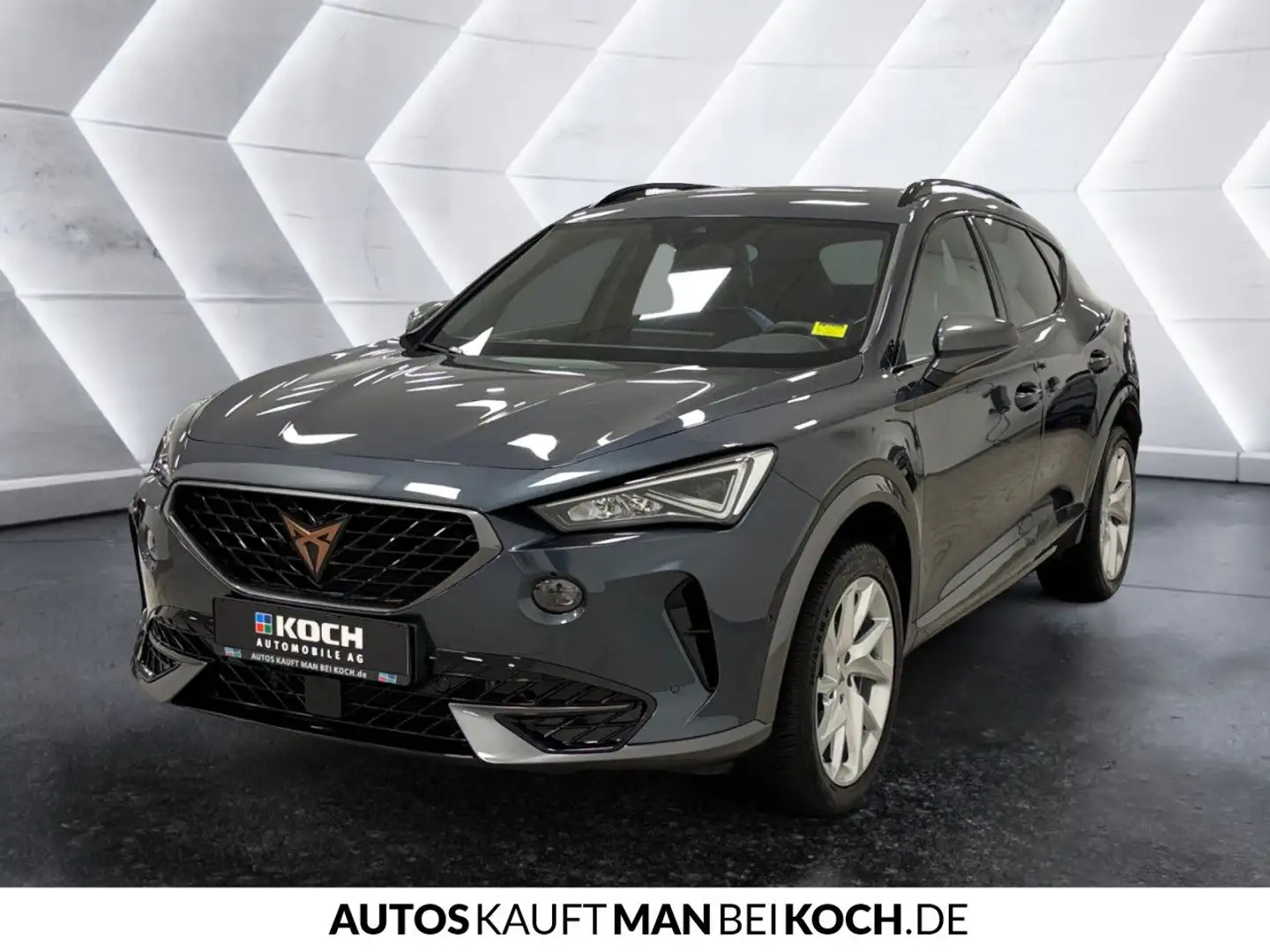CUPRA Formentor 1.5 TSI DSG NAVI LED PARKL ACC 4SEASON Grigio - 2