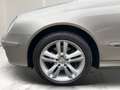 Mercedes-Benz CLK 200 Cabrio Kompressor Avantgarde Bi-Xenon Le Plateado - thumbnail 14