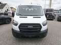 Ford Transit Pritsche Doka 2,0 Ecoblue L2H1 350 Trend *2025er+ Weiß - thumbnail 2
