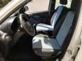 Fiat Panda Panda 1.3 mjt 16v Dynamic - AUTOCARRO 4 posti Bianco - thumbnail 2