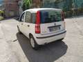 Fiat Panda Panda 1.3 mjt 16v Dynamic - AUTOCARRO 4 posti Bianco - thumbnail 4