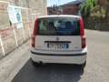 Fiat Panda Panda 1.3 mjt 16v Dynamic - AUTOCARRO 4 posti Bianco - thumbnail 5