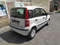 Fiat Panda Panda 1.3 mjt 16v Dynamic - AUTOCARRO 4 posti Bianco - thumbnail 9