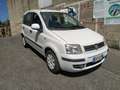 Fiat Panda Panda 1.3 mjt 16v Dynamic - AUTOCARRO 4 posti Bianco - thumbnail 7