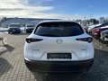 Mazda CX-30 5WGN 2.5L e-SKYACTIV G 140ps 6AT FWD Homura Wit - thumbnail 7