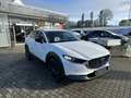 Mazda CX-30 5WGN 2.5L e-SKYACTIV G 140ps 6AT FWD Homura Wit - thumbnail 3