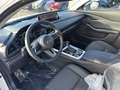 Mazda CX-30 5WGN 2.5L e-SKYACTIV G 140ps 6AT FWD Homura Wit - thumbnail 10