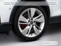 Audi Q2 35 TDI qu. S tronic Pano/Sonos/Navi+/Kamera/A Weiß - thumbnail 11