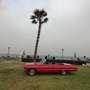 Chevrolet Impala Impala SS REBUILD 10.000khm Rot - thumbnail 2