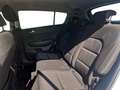 Kia Sportage Sportage 1.6 crdi Business Class 2wd 115cv Bianco - thumbnail 12