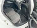 Audi A4 Lim. 40 TDI S line competition plus Blanc - thumbnail 14