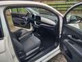 Fiat 500e Cabrio - 42KW/ 300+KM Bereik - met 2000 Subsidie Wit - thumbnail 31