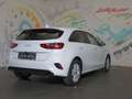 Kia Ceed / cee'd ceed 1,0 T-GDI GPF Titan + P1 *NAVI, LED, RFK* Weiß - thumbnail 4