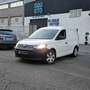 Volkswagen Caddy California 2.0 TDI 90kW (122CV) 4MOTION Blanco - thumbnail 3